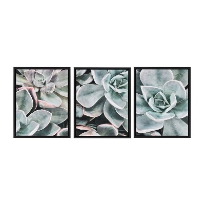 18" x 24" 3pc Sylvie Botanical Succulent Plants Framed Canvas Set by the Creative Bunch Studio Black - Kate & Laurel All Things Decor