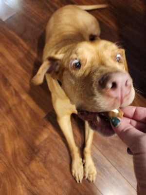 Guest review image 3 of 5, zoom in