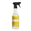 Mrs. Meyer's Clean Day Multi-Surface Cleaner - Daisy - 16 fl oz - image 2 of 4