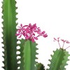 36 Inch Artificial Cactus Plant, Faux Flowering Cacti Plant in Pot, Fake Cacti Saguaro for Home Garden Office Indoor Outdoor Decoration - 4 of 4