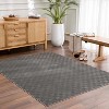 Hauteloom Truls 3D Checkered Washable Rug - 2 of 4