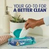 Charmin Flushable Wipes, 2 packs, 40 Wipes Per Pack, 80 Total Wipes - 2 of 4