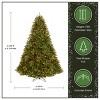 National Tree Company 7.5 ft Pre-Lit Jersey Fraser Fir Full Artificial Christmas Tree, 1,250 Multicolor Lights, 3,144 Tips, Includes Stand, Green - 4 of 4