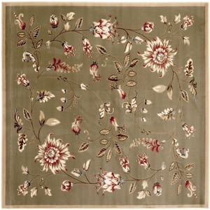 Lyndhurst LNH552 Power Loomed Rugs - Safavieh - 1 of 3