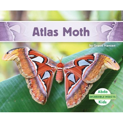 Atlas Moth - (Incredible Insects) by  Grace Hansen (Paperback)