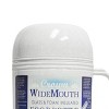 Brentwood 1.0L Wide Mouth Mouth Glass Vacuum/Foam Insulated Food Thermos - 3 of 4