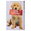 Birthday Card Puppy: Carlton Cards, Multicolored, Vertical Fold, Animal Pattern, 8.25" x 5.375", Birthday Celebration - 4 of 4
