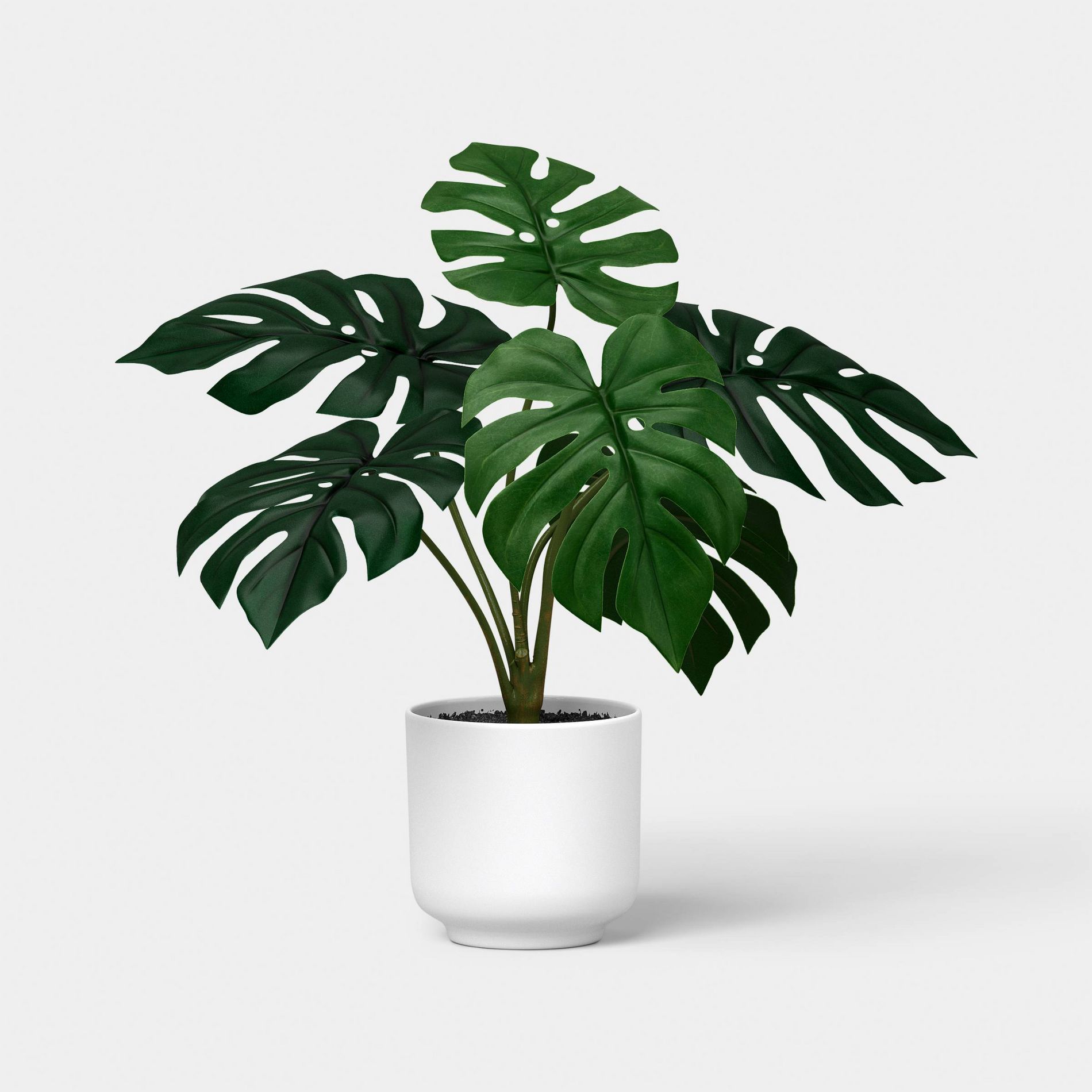 13.5" Monstera Plant - Room Essentials™