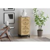 Arina Farmhouse Natural Rattan Vertical 4 drawers Dresser - Maison Boucle - 3 of 4