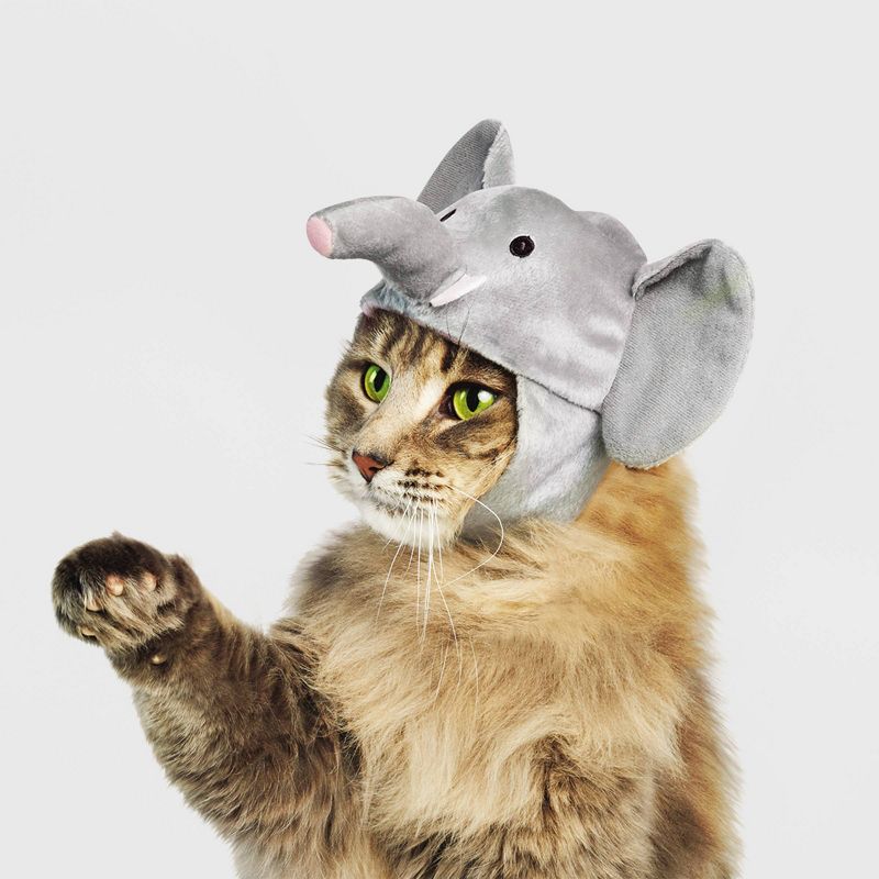 Halloween Elephant Cat Headwear - Hyde &#38; EEK! Boutique&#8482;, 1 of 11
