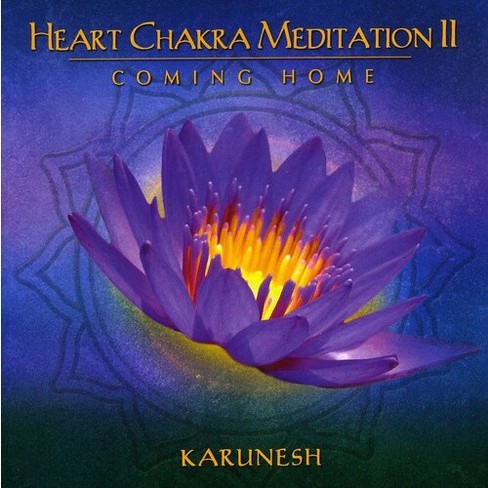 Karunesh - Heart Chakra Meditation, Vol. 2: Coming Home (CD) - image 1 of 1