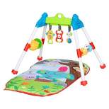 Smart Steps by Baby Trend Jammin' Gym with Playmat