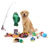 BARK Summer Big Shake Lake Good Chums Dog Plush Toy - 2pc - 4 of 4