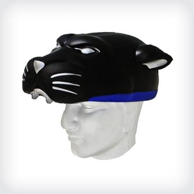 carolina panthers ball caps