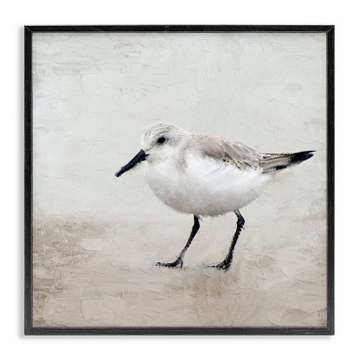Stupell Industries Lone Sandpiper Bird Portrait, 12" x 12"