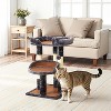 Multi-Level Cat Tree for Indoor Cats, Modern Cat Tower with Double Beds & Scratching Posts, 27 in Cute Cat Tree - 2 of 4
