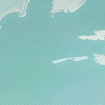 coastal white