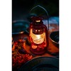 Stansport Replacement Glass Globe For Item#130 - 4 of 4