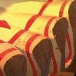 clear push pins bundle