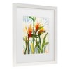 Trademark Fine Art Sheila Golden Birds of Paradise Matted Framed Art - 3 of 4