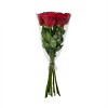 Fresh Cut Dozen Red Valentine's Day Roses - Spritz™ - 3 of 3