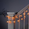 20ct LED Battery Operated Iridescent Pumpkin Halloween Indoor Outdoor Novelty String Lights Black/White - Hyde and EEK! Boutique™ - 2 of 4