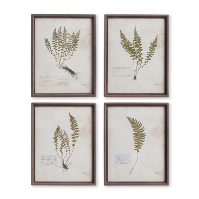 Plum & Post Petite Frond Prints Set of 4