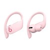 Beats Powerbeats Pro True Wireless Bluetooth Earbuds - image 2 of 4