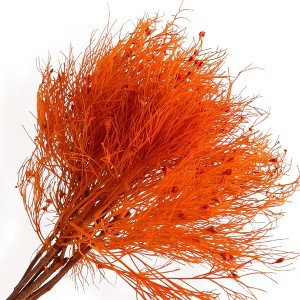 Alilang Decorative Dried Ming Fern Stems for Elegant Home Decoration and Creative Floral Arrangements, 19.5 Inches - 1 of 3