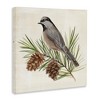 Stupell Industries Bird on Pine Tree, 24" x 24" - 3 of 4