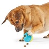 Brightkins Cupcake Dog Treat Dispenser - 3 of 4
