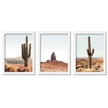 Americanflat Botanical Landscape (Set Of 3) Desert Cactus By Tanya Shumkina Framed Triptych Wall Art Set