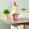Juvale 24 Pack Tiny Plastic Pots for Plants 1.5 Inch, Mini Planters for Flowers, Succulents, 4 Colors - 3 of 4