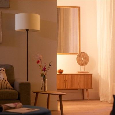Philips 120W Multi-Color Smart LED Flood Light