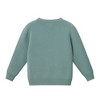 Andy & Evan  Toddler  Forest Scene Sweater - 2 of 3