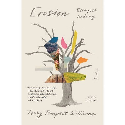  Erosion - (Paperback) 