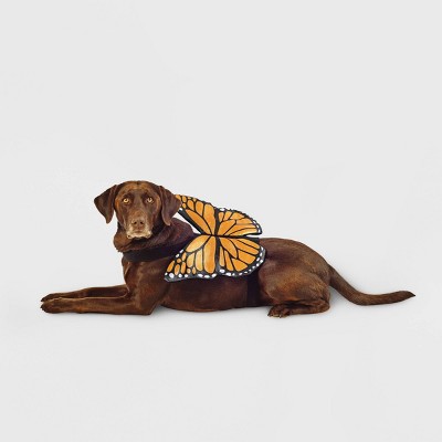 Photo 1 of 3 Monarch Butterfly Wings Rider Dog Costume - L/XL and small - Hyde &#38; EEK! Boutique&#8482;