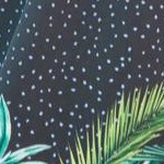 tropical garden border