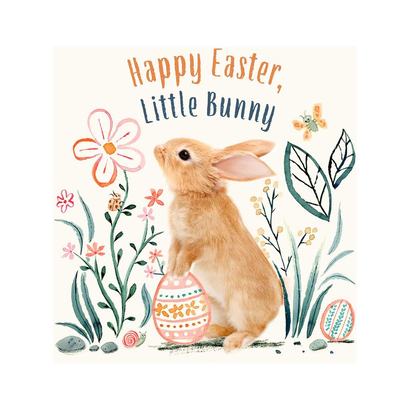 Happy Easter, Little Bunny - (Baby Animal Tales) by  Amanda Wood (Board Book), 1 of 2