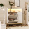 Narrow Shoe Rack, Freestanding Shoe Storage Cabinet with Adjustable Shelf - 4 of 4