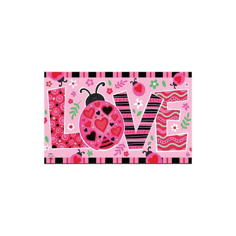 Ladybug Love Valentineu2019s Doormat 30" x 18" Indoor Outdoor Briarwood Lane, 3 of 5