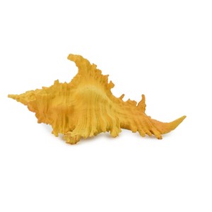 Collectible Wildlife Gifts | Murex Shell, Sea Snell,  Pantone Color, Ocean, Sea Life, Plastic Model,  Animal, Life Like, Gift,  2"  F4114 B96 - 1 of 4