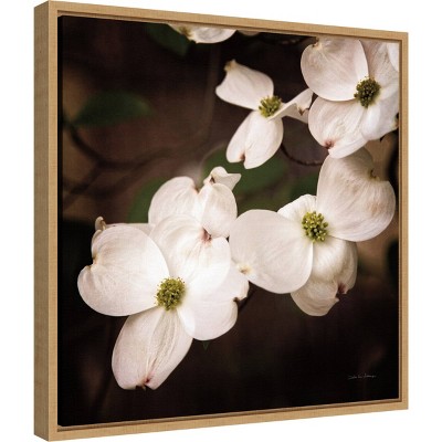 20" x 19" White Dogwood Blossoms Framed Canvas Print