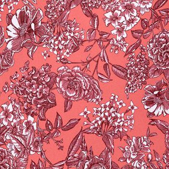 coral briar rose