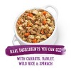 Purina Beneful Prepared Meals Simmered Recipes Wet Dog Food - 10oz - 3 of 4