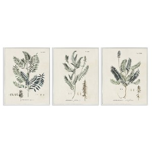 Stupell Industries Green Botanical Latin Study, 11" x 14" - 1 of 4