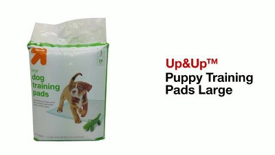 Up&Up Puppy Training Pads (100 Counts) (X-Large, 1-Count)