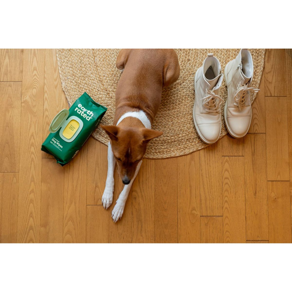 Earth Rated Thick Hypoallergenic Unscented Dog Grooming Wipes - 100ct - thumbnail 9