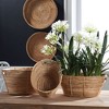 Plum & Post Cane Rattan Rectangular Baskets With Handles Set of 3 - 2 of 4