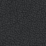 antoine winfield jr.